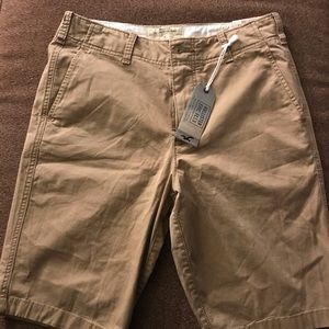 Hollister Cali Longboard shorts